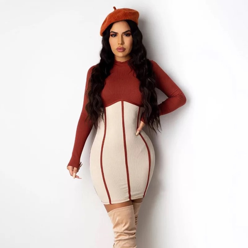 Longsleeve Bodycon Ribbed Dress - Picture 3 of 6